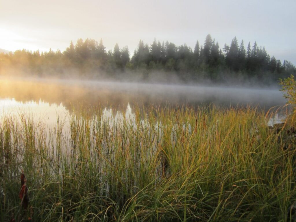 Ångermanälven im Nebel
